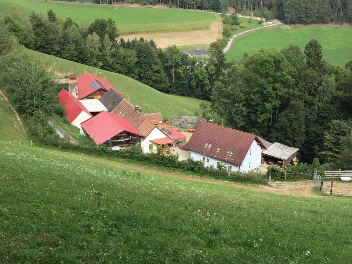 Villa Haflingerhof Luef Bad Schönau Exterior foto