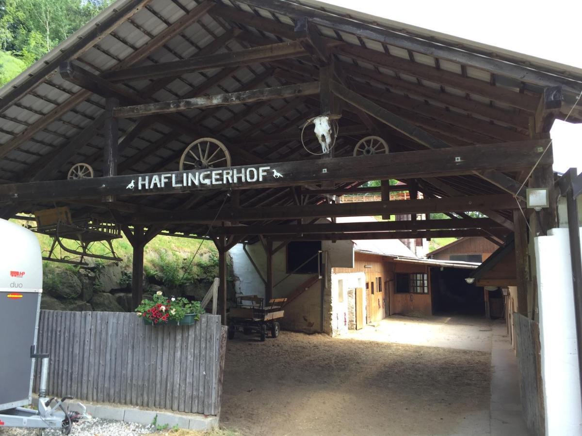 Villa Haflingerhof Luef Bad Schönau Exterior foto