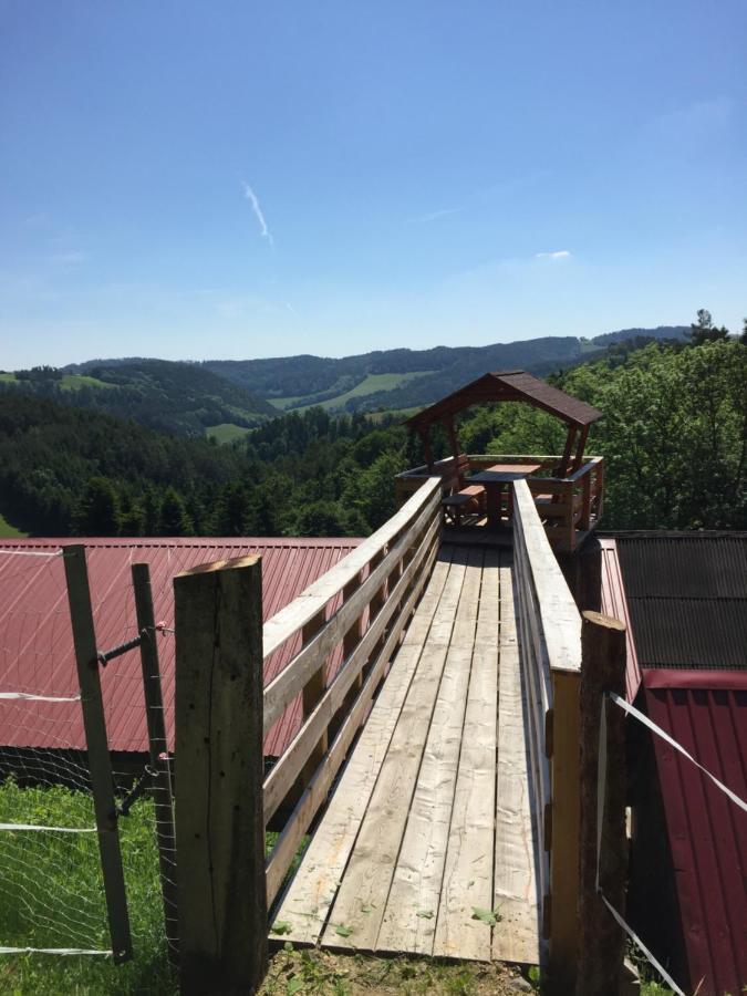 Villa Haflingerhof Luef Bad Schönau Exterior foto